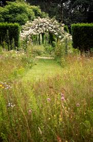 Image result for Priona Tuinen