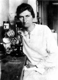 Image result for Mangold