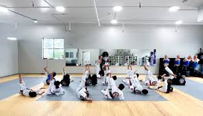 Image result for Calne Tagb Tae Kwon Do School