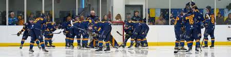 Image result for Romford Raiders
