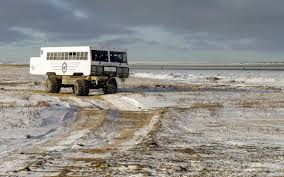 Image result for tundra buggy