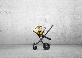 Image result for Bugaboo Cameleon Jon Stewart