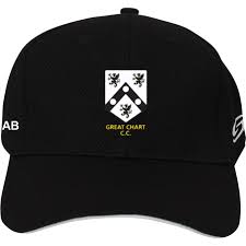 Image result for Great Chart Cricket Club