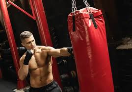 Image result for Devines Martial Arts