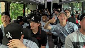 Image result for Metropolitan Police (Chigwell) Bowls Club