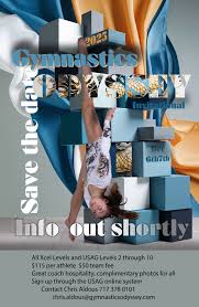 Image result for Hemsworth Odyssey Gymnastics Squad