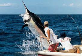 fishing in Hawaii