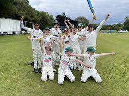 Image result for Pannal Cricket Club