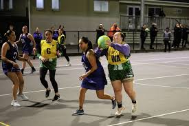 Image result for Robins Netball Club