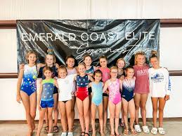 Image result for Elite Recreational Gymnastics Club