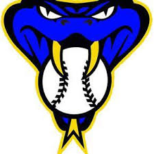 Image result for Sidewinders Baseball Club