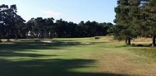 Image result for Blackmoor Golf Club