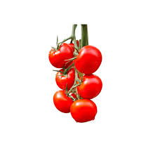 Afbeeldingsresultaat voor principe borghese tomato