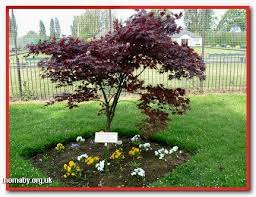 Image result for Thornaby Village Bowling Club