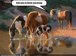 images?q=tbn:ANd9GcRDcucORHtxjr9y_aIVp6zwIyUljZCX7SMhV7PKwI3nCkLQ8t0bhQ