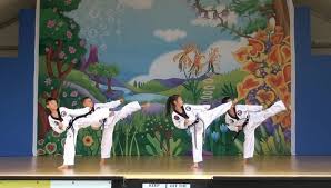 Image result for Kees Tae Kwon Do