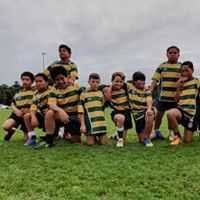 Image result for Wellington Rugby Football Club Limited
