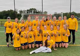 Image result for Welwyn Lacrosse Club