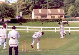 Image result for Whittle and Clayton Cricket Club