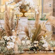 Attēlu rezultāti vaicājumam “Phragmites communis flower”