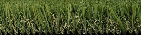 Image result for Astroturf