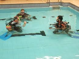 Image result for Torbay Sub-Aqua Club