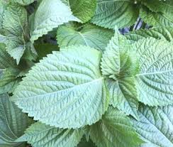 Image result for 깱깲깳깴깵깶깷깺깾깿꺀꺁꺂꺃꺆꺇꺈꺉꺊꺋꺍꺎꺏꺐