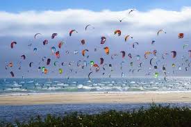 Image result for Baiter Power Kite