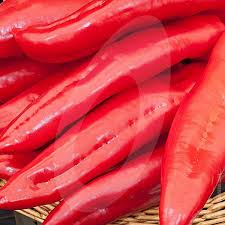 Afbeeldingsresultaat voor long red marconi sweet pepper