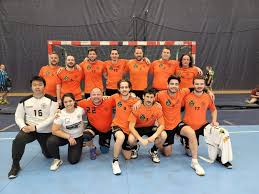 Image result for Ashford Tanners Handball Club