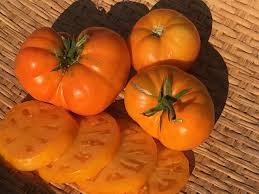 Afbeeldingsresultaat voor brandywine tomato