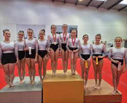 Image result for City Of Newcastle Gymnastics Academy