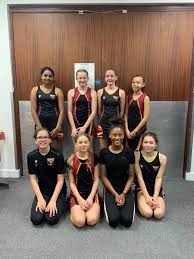 Image result for Huddersfield Giants Netball Club