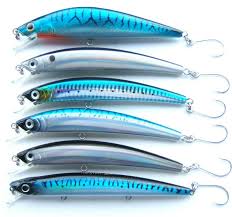 Image result for Bristol Channel Sea Fishing