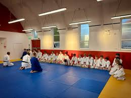 Image result for Hull Judo Club