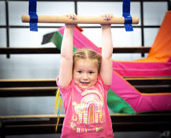 Image result for Wiltshire School Of Gym