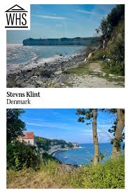 Image result for stevns klint