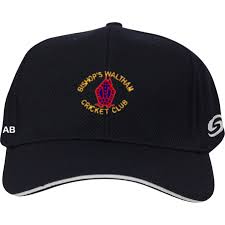 Image result for Bishops Waltham Cricket Club