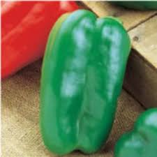 Afbeeldingsresultaat voor giant 3 sweet pepper