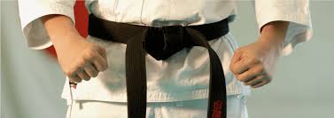 Image result for Epsom & Ewell Karate Club