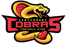 Image result for Caerbryn Association Football Club