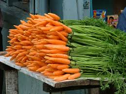 Attēlu rezultāti vaicājumam “Daucus carota subsp. carota fruit”