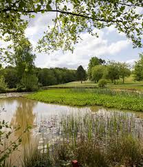 Image result for Chiddingfold Golf Club