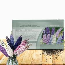 Attēlu rezultāti vaicājumam “Delphinium elatum  fruit”