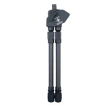 Attēlu rezultāti vaicājumam “Protapion sp.”