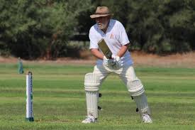 Image result for Lynchmere Cricket Club
