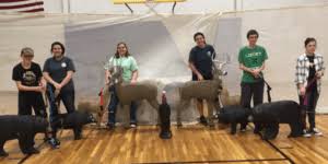 Image result for Acorn Archers