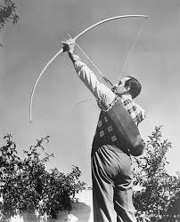 Image result for Longbow Archers