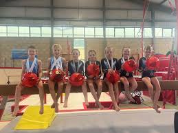 Image result for Bicester and District Gymnastics Club