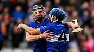 Image result for Sarsfields Hurling Club